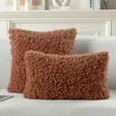 FUTEI Pack of 2 Decorative Throw Pillow Covers 20x20 Inch,Soft Fluffy Faux Wool Fur Boucle Textured Cushion Case,Modern Home Decor for Couch Bed Living Room Office,Rust