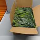 Prelit Christmas Garland 9ft with Multi-Function with 50 Warm White Multi-Color Lights, Battery Opreated Christmas Decor Timer for Mantle Staircase Indoor and Outdoor Prelight Xmas Garland