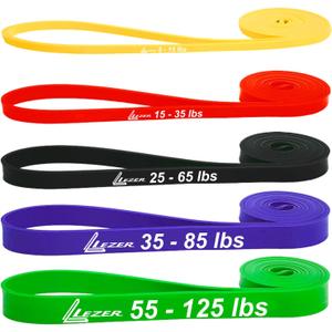 LEZER Resistance Bands - Pull Up Bands for Home Gym Fitness, Stretching, Physical Therapy & Training - Includes Instruction