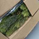 9FT Real Touch Norfolk Pine Christmas Garland with Light Winter Artificial Faux Greenery Garland Table Mantle Stairs Fireplace Wall Decor Outdoor Indoor Porch Home Decorations (Battery Not Included)