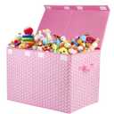 Mayniu Large Toy Storage Box Chest for Girls Kids, Sturdy Toy Box Bin Organizer Baskets with Lid for Living Room, Nursery, Closet, Bedroom, Playroom 25"x13" x16" (Pink)