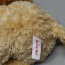 Aurora Snuggly Tubbie Wubbies Lion Stuffed Animal - Comforting Companion - Imaginative Play - Brown 12 Inches