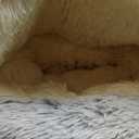 ShinHye Cozy Cat Bed - Round Plush Fluffy Hooded Cave, Indoor/Outdoor, Waterproof & Washable, Calming Anti-Anxiety Design - 23x23 Inch, Grey