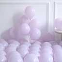 160Pcs Easter Balloon Garland Arch Kit with Bunny & Carrot Foil Balloons, Pastel Balloons for Easter Party, Baby Shower, Spring Birthday, Photo Backdrop Decorations (Macaron)