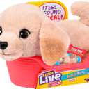 Little Live Pets My Really Real Puppy Mini Buddy The Retriever, Interactive Plush Toy with Basket, 20+ Sounds and Reactions, Puppy Toys for Kids