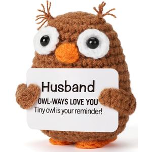Crochet Owl Positive Support Gift for Husband I Love You Presents for Him Men Anniversary Valentine Day Birthday Funny Desk Companion Stress Anxiety Relief Encouragement