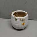 Ceramic Hanging Basket