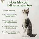 Cat Grass Kit for Indoor Cats, 3 Pack Fast Growing Cat Grass Kit with Eco-Friendly Biodegradable Pots, Soil & Organic Wheatgrass Seeds, Grows in 3-7 Days with High Germination Rate