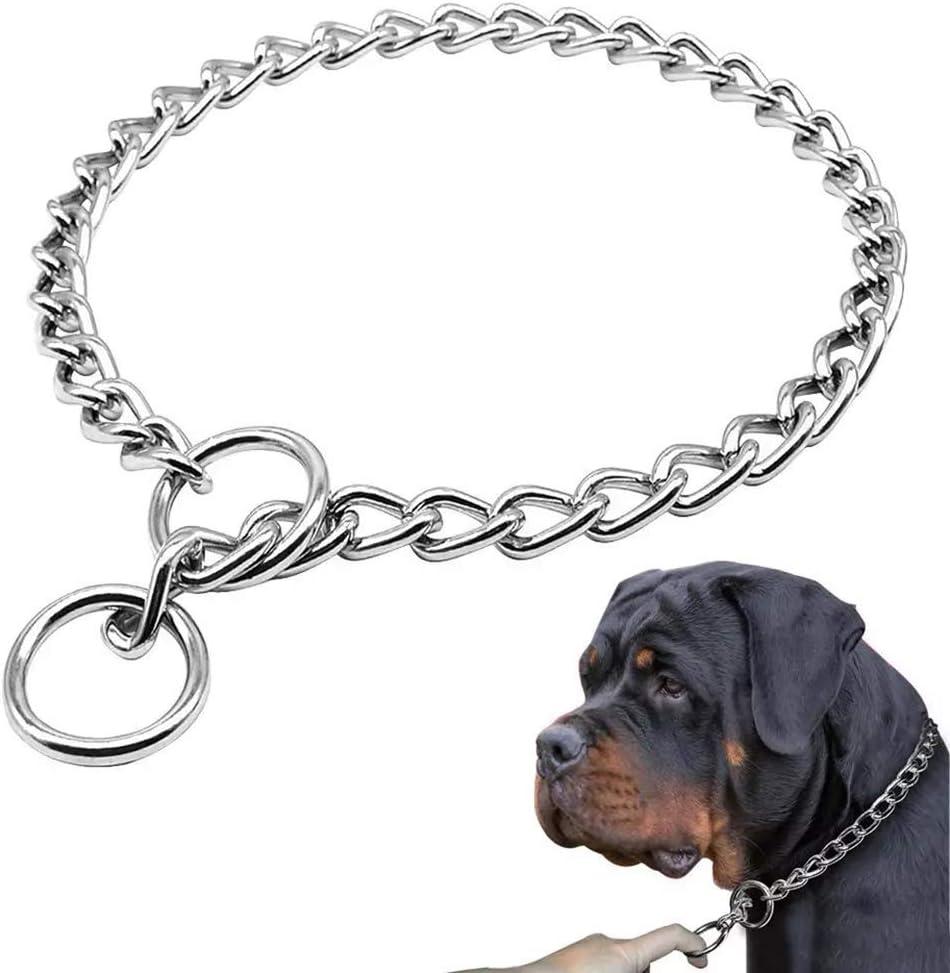 Freezx Dog Choke Collar Slip P Chain,Heavy Duty Metal Training Choke Collars, Adjustable Weather Proof Alloy Steel Chains Dogs (Size: L+ Length: 24 (suitable for dog's neck 20"), Silver)
