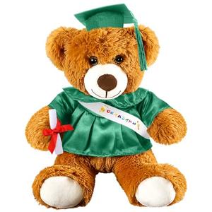 Foilswirl Graduation Bear 2026 with Gown Cap Tassel 14” Kelly Green Graduation Stuffed Animal Plush Bear Toy for Class of 2026 Prek Preschool Kindergarten High School College Graduate Gift