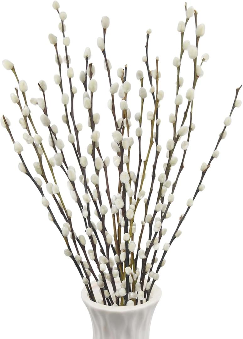20 Pcs Natural Preserved Dried Flowers Real Pussy Willow Branches for Vases Tall Artificial Pussywillow Stems 19.7" White Snow Pussywillows for Home Decor Indoor Wedding Party Hotel Fireplace