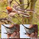 Spring Easter Home Decor,6pcs Artificial Faux Real Feathers Ornament Mini Fake Bird Figurines Nest Eggs,Small Sparrow Decorative,Clip On Birds for Christmas Tree DecorationCraftsStatue Photo Props