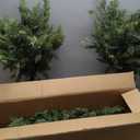 4FT Real Touch Cedar Topiary Trees for Front Porch Decor, Artificial Shrubs Faux Plants Potted UV Resistant Fake Greenery for Outdoor Indoor Door Garden Farmhouse Home Decoration (Set of 2)