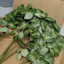 HyeFlora 5PCS Artificial Eucalyptus Leaves Stem Plants for Spring Decor, 32.7 inch Fake Leaves Greenery Branches Green Shrubs Silk Faux Foliage DIY Stems for Festival Home Kitchen Farmhouse(Green)