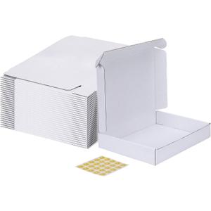 MEBRUDY 12x9x2 Inches Shipping Boxes Pack of 25, White Corrugated Cardboard Box for Mailing Packing Literature Mailer