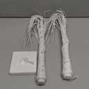 Valentines Day Lighted Birch Tree Decorations, 24 Inch Small Table Top Artificial LED Light Trees Decor with White Branches , 1 Timer USB & Battery Operated, Pack 2