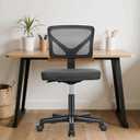 Sweetcrispy Office Computer Desk Chair, Ergonomic Low-Back Mesh Rolling Work Swivel Chairs with Wheels, Armless Comfortable Seat Lumbar Support for Home, Bedroom, Study, Student, Adults, Black