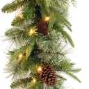 National Tree Company 9 ft Pre-Lit Colonial Fir Artificial Christmas Garland, Christmas Decoration with Red Berries, Pinecones, 50 Clear Lights, 180 Tips, Green
