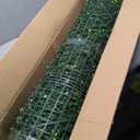 ODTORY Artificial Boxwood Roll Panels, 48"x120" (40 sq.ft) UV-Resistant Faux Ivy Privacy Fence Screen, Decorative Grass Wall Covering for Indoor & Outdoor Garden, Backyard, Balcony, Home Decor