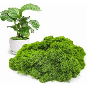Aspamms Fake Green Moss for Potted Plants Indoor, 7oz Artificial Moss for Crafts, Faux Moss Decor for Fairy Garden, DIY Decorative, Model Making, Walls, Glass Containers, Home