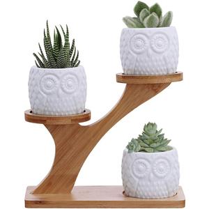 3pcs Owl Succulent Pots with 3 Tier Bamboo Saucers Stand Holder - White Modern Decorative Ceramic Flower Planter with Drainage - Home Office Desk Garden Mini Cactus Plant Pot Indoor Decoration