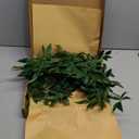 Ling's Moment Rosa Banksiae Artificial Vines, Pack of 7 Silk Greenery Garlands with Hanging Faux Laurel Leaves for Table Centerpieces, Wedding Arches & Floral Filler Arrangements