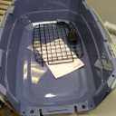 Amazon Basics Sturdy Portable 2-Door Top-Load Hard-Sided Pet Travel Carrier with Secure Ventilation, Handle, Front & Top Entry for Dogs, Cats, 22.8"L x 15"W x 13"H, Gray & Blue