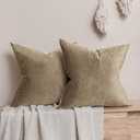 JUSPURBET Stone Velvet Throw Pillow Covers 22x22 inch Set of 2 for Living Room Couch Bedroom Decorative Luxury Soft Cushion Cases with Invisible Zipper