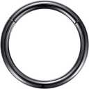 1pc 8g 10mm Silver, ORANGELOVE Hypoallergenic Nose Ring, Surgical Steel Septum Jewelry Hinged Segment Ring Body Piercing Nose Hoop Lip Rings Nose Helix Cartilage Rook Earrings