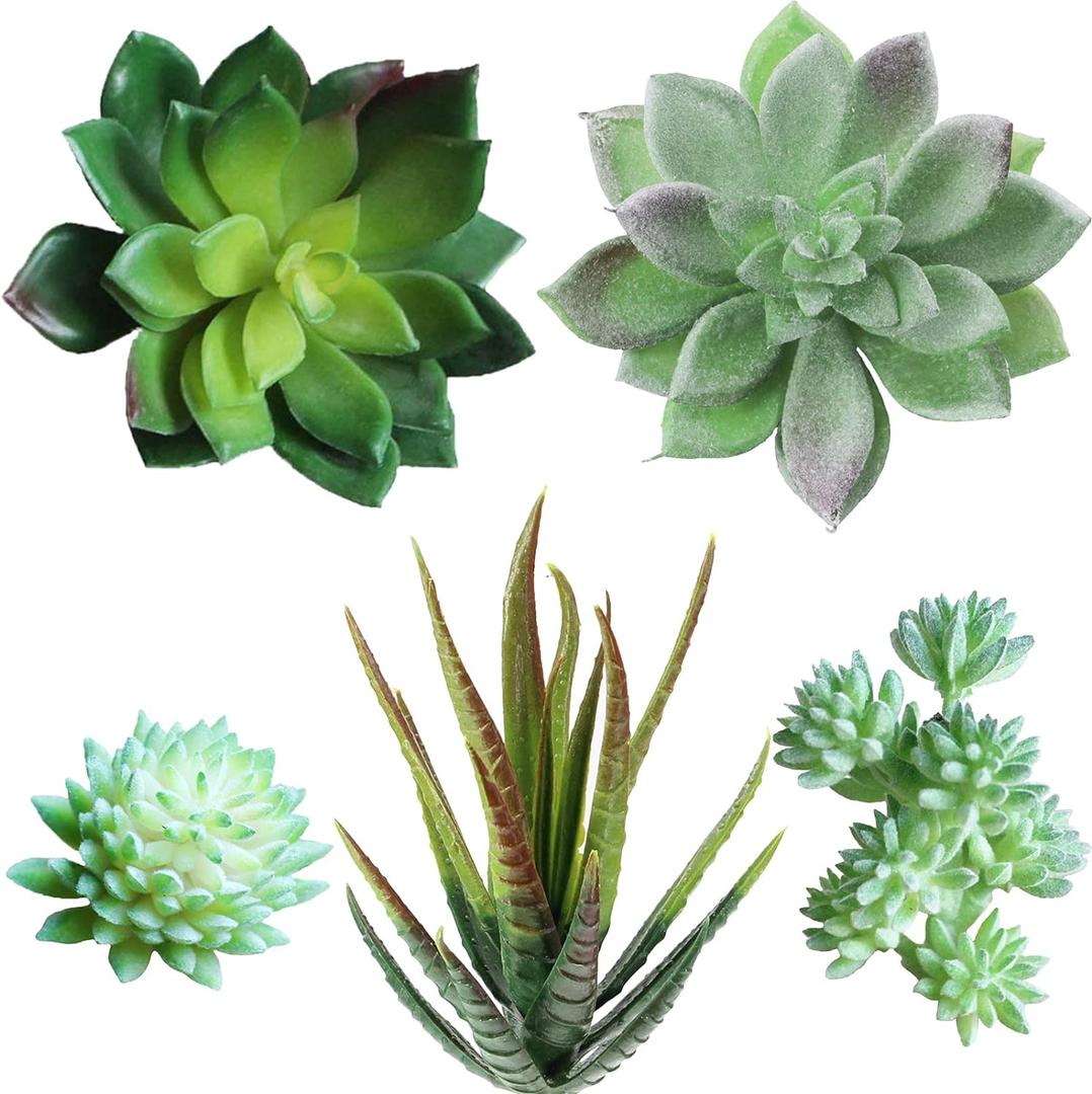 Supla 5 Pcs Assorted Artificial Succulents Plants Unpotted Small Green Cactus Echeveria Picks Fake Succulents Bulk for Succulent Garden Centerpiece Wreath Floral Arrangement Indoor Outdoor Home Dcor