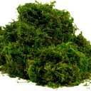 BYHER Artificial Moss Fake Green Grass for Centerpieces Home Kitchen Garden Decor (8OZ, Fresh)