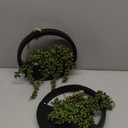 Floweroyal 2pcs Artificial Succulents Hanging Plants 12.2'' Fake String of Pearls in Pot with 8.3'' Lanyard for Indoor Outdoor Wall Decor (Black).