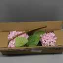 26" Artificial Hydrangea Flower with 6.6" Large Bloom, Realistic Gradient Silk Flowers, Faux Hydrangeas for Home Wedding Centerpiece Decor, Big Petal Fake Floral Arrangement, Indoor Outdoor Display (3PCS, Pink)