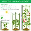 Moirsunt 6 Packs Tomato Cage for Garden Plant Support, Up to 48inch Garden Plant Stakes Tomato Trellis for Potted Plants, Deformable Tomato Cage Trellis for Climbing Plants Vegetables Flowers