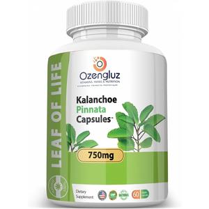 Kalanchoe Pinnata-Leaf of Life (Bryophyllum Pinnatum) 60 Cápsulas De 750mg Bottle, BB: 12/2027