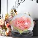 PATIKIL 4.9" Clear Cloche Glass Dome, Glass Bell Jar Globe Display Case Tabletop Centerpiece with Black Wooden Base for Succulents Christmas Decor