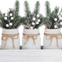SUPREME LIGHTS 2017 Christmas Mason Jars, Winter White Mason Jars, Christmas Centerpieces for Home Table Decor, Wood Tray & 3 Decorative Jars, Winter Farmhouse Dining Table Centerpieces Decoration