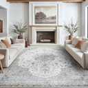 Amada 8x10 Area Rugs, Non-Slip Washable Rug with Low Profile, Durable Bound Edge, Soft Large Vintage Rug for Living Room, Bedroom, Dinning Room, Home Office,Silver Gray 