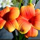 Birthday Gifts for Women 8pcs Orange Flowers PU Real Touch Flowers Women's Gifts for Christmas Artificial Flowers for DIY Birthday Gifts Wedding Gifts Home Decor Table Centerpiece (104)