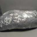 Bedsure Waterproof Blanket for Bed - Soft Print Sherpa Fleece Pet Cat Dog Blankets for Large Dogs Couch Protection, Soft Plush Reversible Furniture Protector, Twin Size, 60"x80", Anchor Gray