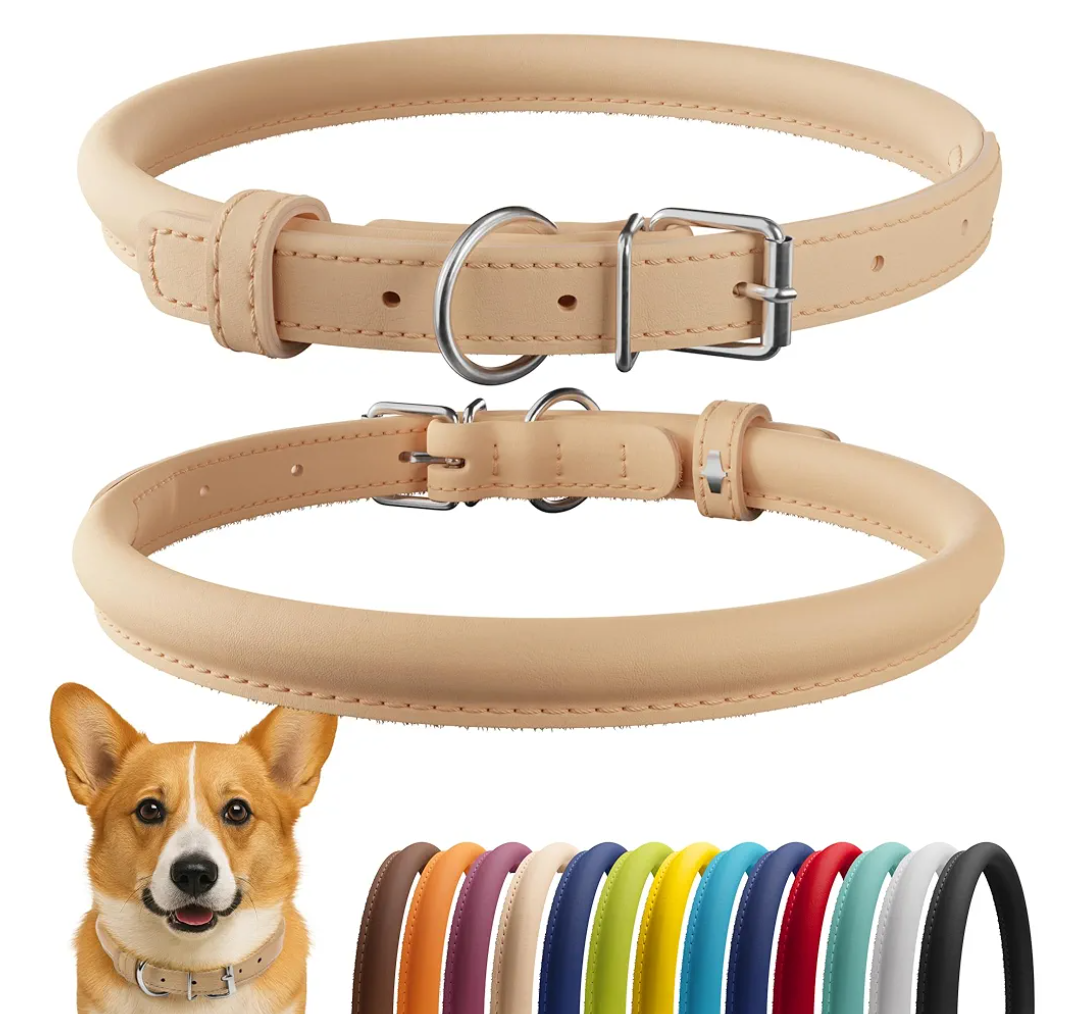 CollarDirect Rolled Leather Dog Collar, Soft Padded Round Puppy Collar, Handmade Genuine Leather Collar Dog Small Large Cat Collars  (11-14 Inch, Beige Smooth)