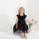Sinhoon Toddler Girl Tulle Dress Summer Ruffle Sleeveless Baby Girl Fashion Casual Dresses 1-6Y (Black)