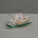 Motherhood Maternity Womens Comfort Nursing Bra with Removable Pads, Wirefree and Seamfree, Breastfeeding Friendly, Essential Nude, Medium