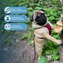 Best Pet Supplies Voyager Step-in Air Harness - All Weather Mesh, Reflective, No Pull Harness for Dogs, Cats - Secure with Hook & Loop Fastener, Buckle, Double D-Rings - Red/Black Trim, XL