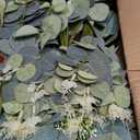 lovemoon 260 Pcs Artificial Mixed Eucalyptus Stems Bulk, 5 Kinds of Faux Greenery Eucalyptus Leaves Bulk for Vase Wedding DIY Bouquets Floral Arrangement Home Decor (260, Green)