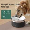 Gardner Pet Dog Bowls 1 Gallon (3.85L) Stainless Steel No Spill Water Bowl, Slow Water Feeder Metal Dog Bowls, Spill Proof Water Dispenser for Large Dogs, Promotes Healthy Hydration(Black)