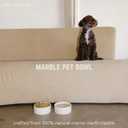 Marble Pet Bowl  Luxury Stone Dog or Cat Bowl, Crema Marfil Marble, Heavyweight & Non-Slip, Handcrafted Elevated Food or Water Dish for Small Pets (Ibiza)