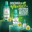 GuruNanda Fresh Breath Mouthwash 12-Hour Fresh Breath & Helps Fight Bad Breath ADA Accepted, Alcohol & Fluoride-Free Oral Rinse Wild Mint, 33.8 oz/1 Liter