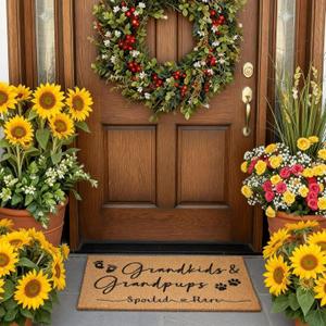 Tinideya Nana Papa Welcome Doormat for Grandma Grandparents Gifts, Gigi Mimi Gifts from Grandkids Granddaughter for Modern Farmhouse Mat Decor(Grandma Grandpa,23.6 x 15.7 Inch)