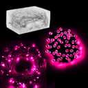 30 Mini Bulb LED Battery Operated Fairy String Lights in Pink for Valentines Day, Romantic Wedding, Home Decoration Room Lighting, Christmas, Crafts (158" inch Long String)